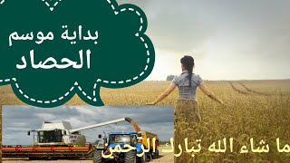 يبدا ®موسم الحصاد بالمغرب في اجواء رائعه^ وخيرات ما شاء الله ™[OFFICIAL.℅CHERRAK]