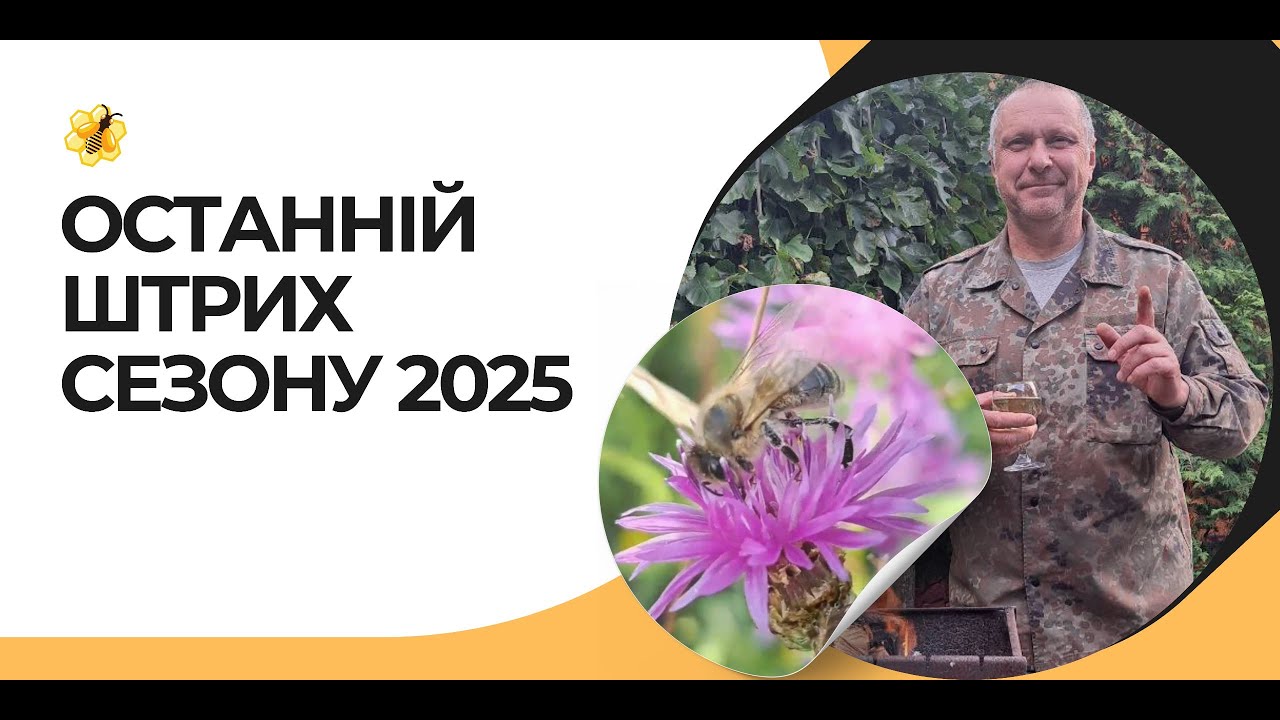 Останній огляд сезону: стан гнізда й ефект ізоляції матки