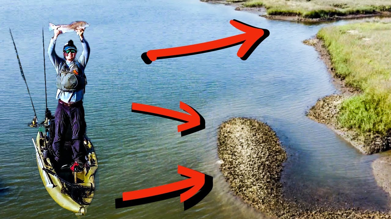 Redfish fishing SPOTS: Low tide Lowcountry inshore saltwater