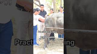 Complete Practical Training of AI Maitri Course | Artificial Insemination Full Training in Hindi |