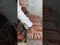 Raj Mistri Work 🔥 | ईंट की दीवार बनाने का सही तरीका | Brick Work Step by Step