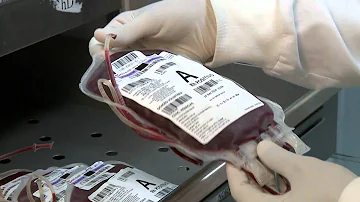 O que é fracionamento do sangue?