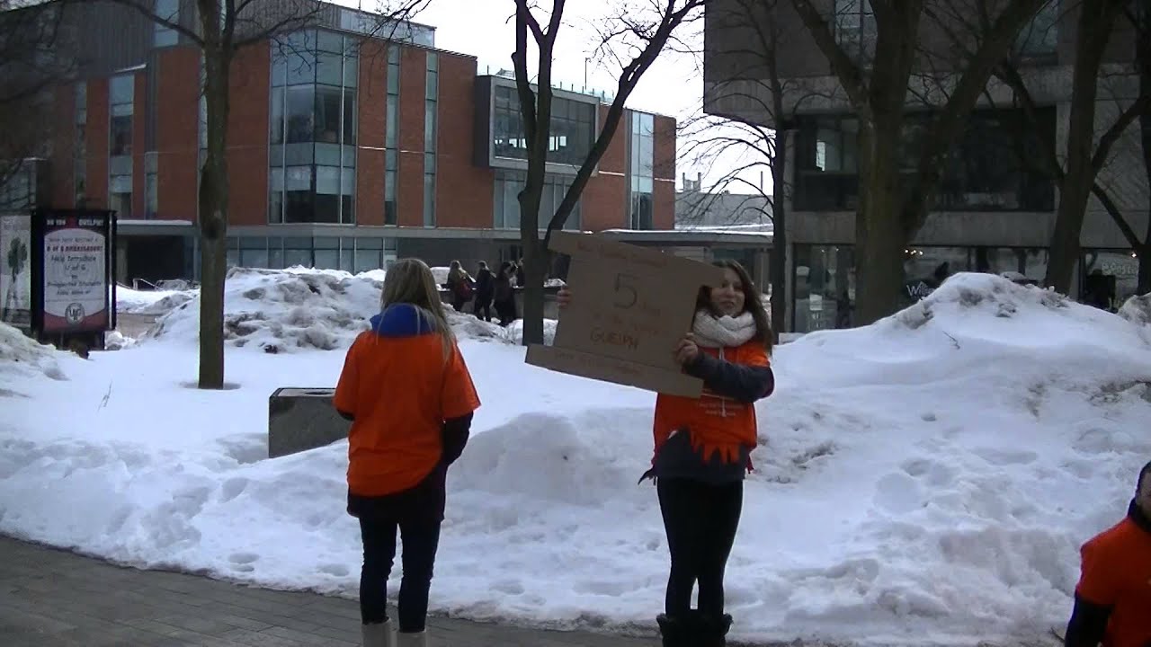 5 Days For The Homeless 2014 Guelph Day 1 Youtube 