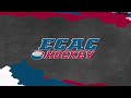 Princeton at Bentley | NCAA Men's Ice Hockey | Highlights - January 24, 2026 | #ECACHockey