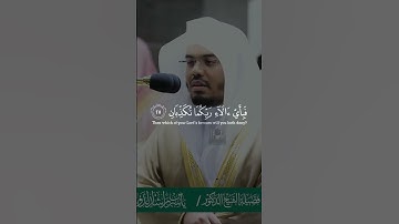 اللهم صل و سلم على محمد ‎القارئ: ياسر الدوسري السورة:الرحمان(19-28)