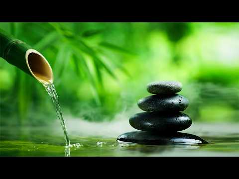 Bamboo Water Fountain Healing No Ads 24/7 自然の音とともに音楽をリラックス バンブーウォーターファウンテン【癒し音楽BGM】