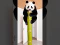 Marvelous Dancing Polish Cow funny panda cow dance Cow Song Videos cow farm giant bamboo asmr
