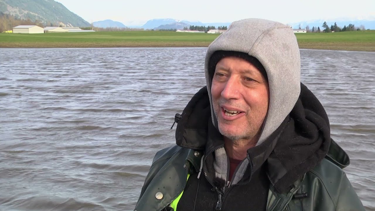 Rescuing stranded salmon from flooded B.C. fields