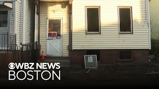 Bones found in South Boston home are animal remains