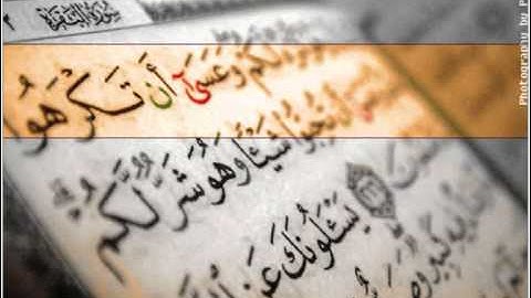 الشيخ رشيد القليب سورة البقرة الآيات 204-230.