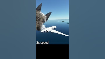 Racing a Jet Between Two Famous Airports (#Shorts) Real Pilot Plays Microsoft Flight Simulator