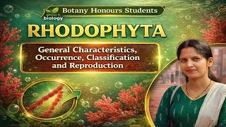 Rhodophyta (Red Algae) | Characteristics, Occurrence, Classification &amp; Reproduction | Botany Honours