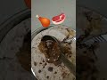 Roti aur boty mutton #mutton #food #cooking #muttonrecepi #muttoncurry #rotiaurboty