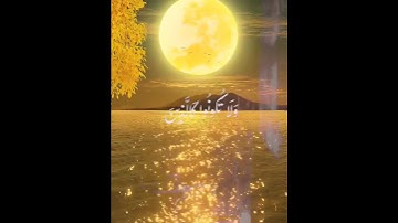 صوت عذب #القرآن_الكريم #quran #تلاوة_القرآن #surah #listen #allah #سورة_الحشر