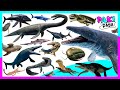 Animales marinos prehistricos parte 2  prehistoric sea animals  mosasaurio plesiosaurio