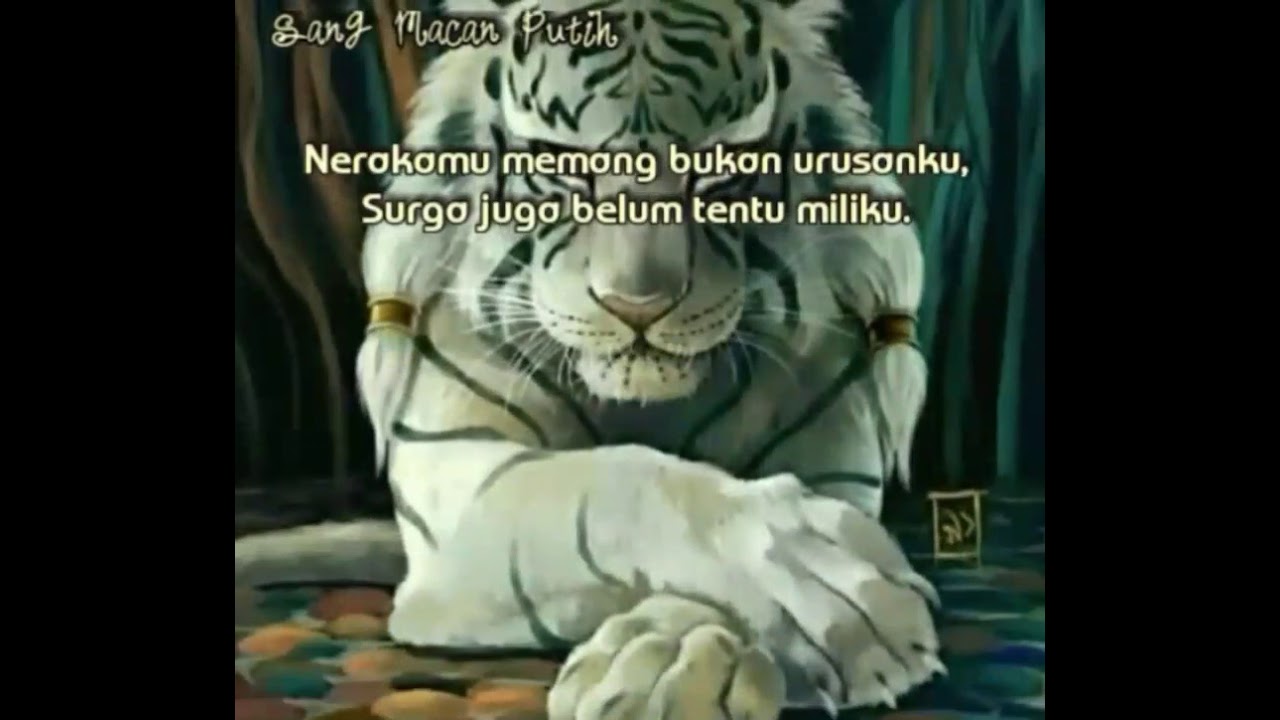story wa macan putih||