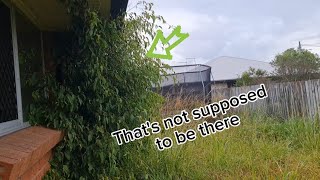 Overgrown Is An Understatement To Describe This Yard | Shocking Transformation #satisfyingvideo