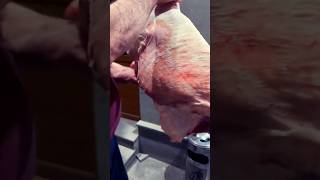 Yerevan, Armenia 2025 Abovyan Gandzakveterok Bbq Xorovatz