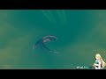 Preview 2 Malos Falling | Effects