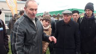 видео: Ульи из ППС с фольгой делайте сами. Леонид Кузьменко картинка: Ульи из ППС с фольгой делайте сами. Леонид Кузьменко