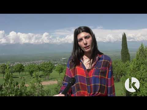 ვიზიტორთა სახლი გურჯაანის ყველაწმინდის მიმდებარე ტერიტორიაზე