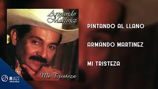 Video thumbnail of "Pintando Al LLANO 🧑‍🎨 - Armando Martínez [Audio Cover]"