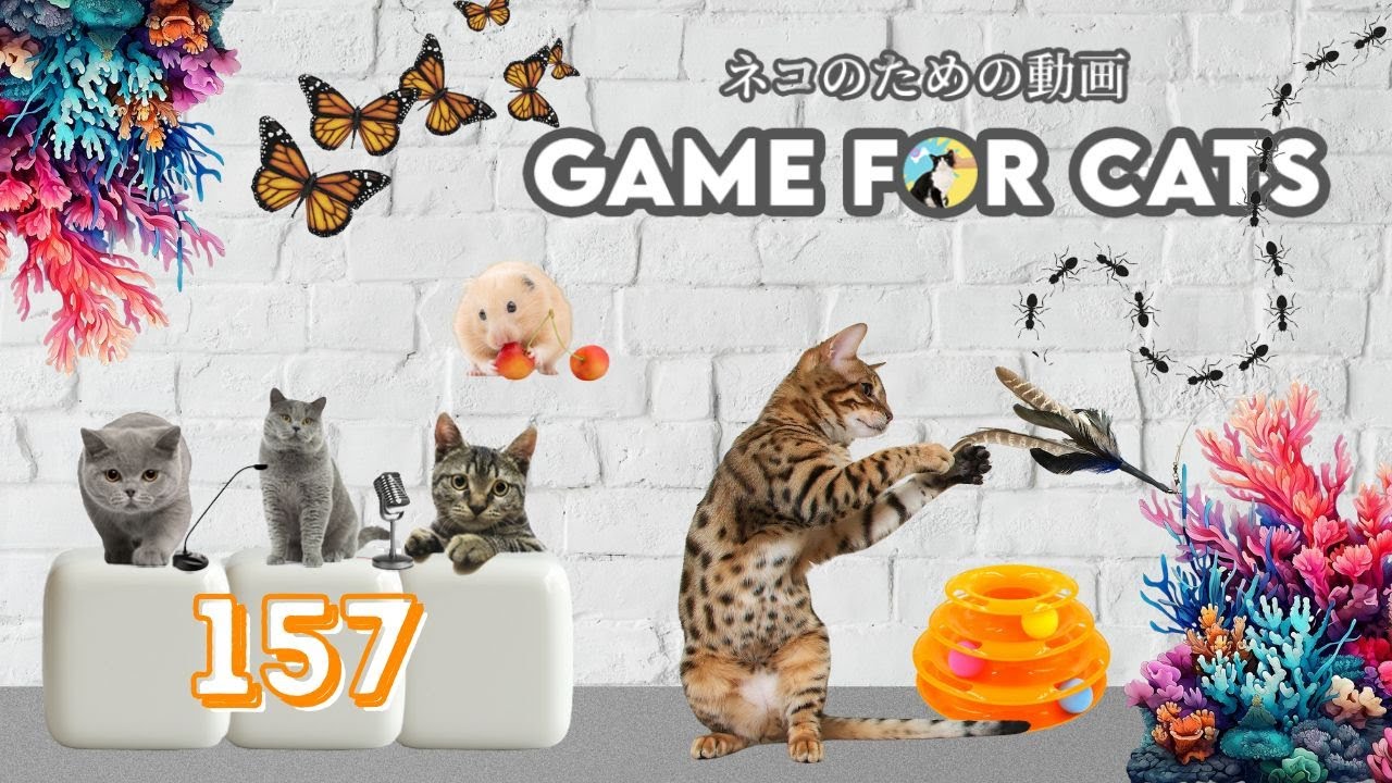 CAT GAMES | Ultimate Cat TV Compilation Vol 157 | Mouse, Fish, String & Bird Fun | 2 HOURS 🐭🐟🧵🦜