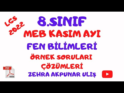 MEB KASIM Ayı Fen Bilimleri Örnek Sorular Çözümü/ LGS 2022