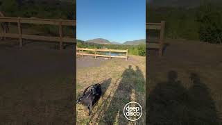 Behind The Scenes Of Paul Lock Cruel Loving