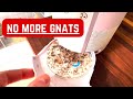 Katchy Duo Indoor Insect Trap with Scent Pod - Fan Powered with UV Light