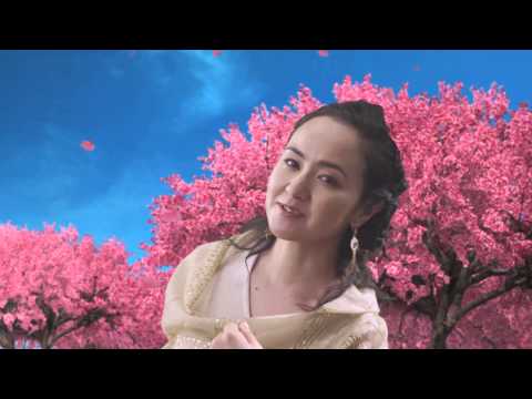 オリオンビール いちばん桜2013－2014　美味しい花をさかせましょう編 （大城クラウディア出演）
