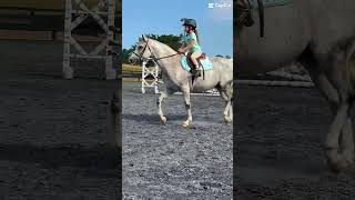 This horse is flowy as freak | @Hotashthepony | #rideforbear #blowup #shorts #fyp 