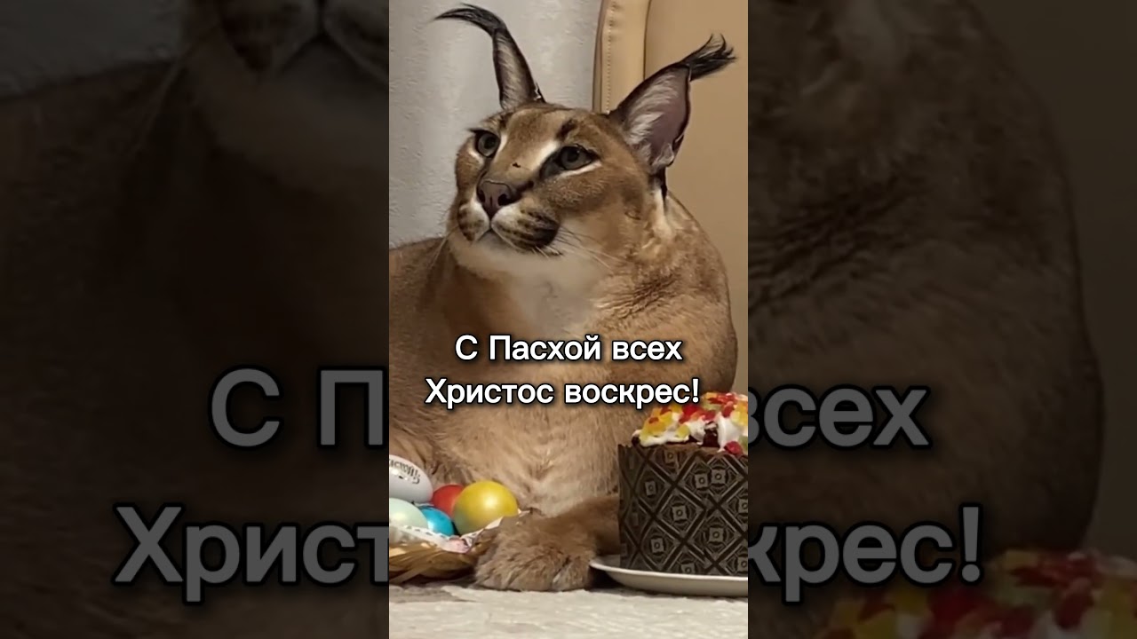 Всех с пасхой!!! 🎉 