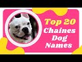 10 Southern Dog Names  Chewy - YouTube