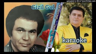 Video-Miniaturansicht von „Gizil Gulumun Rengi Niye Saraldi _ KARAOKE ( minus ) پیمان تبریری بیکلام“