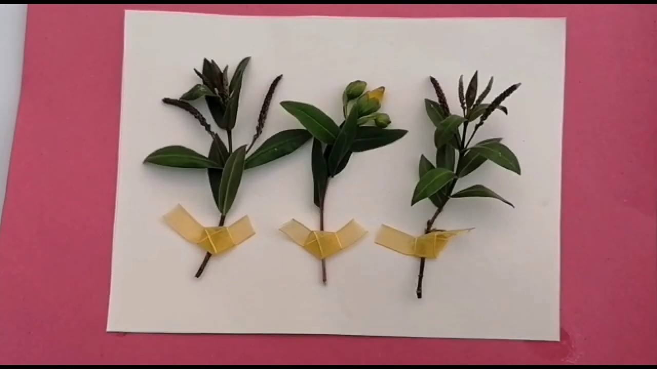 Mindful Crafting for Adults: Day #1 Flower Art