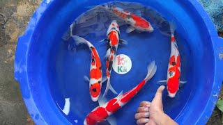 Proses kirim ikan ke Pontianak, Pemalang dan Indramayu