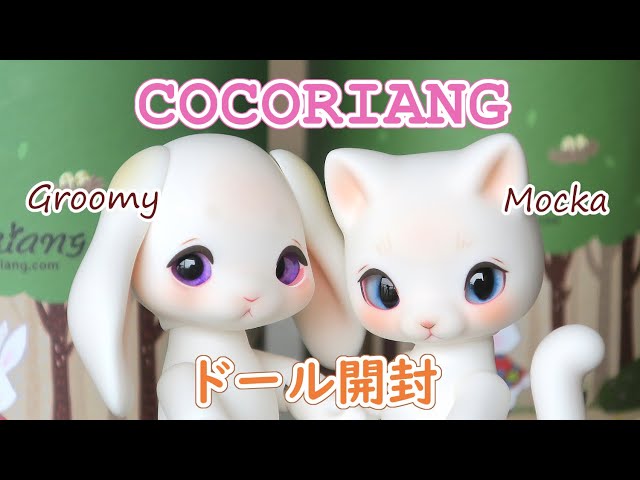 I opened the COCORIANG doll.〔Mocka＆Groomy〕 - YouTube