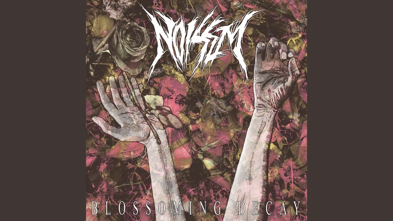 Blossoming of the Web