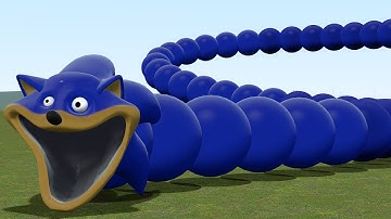 I FOUND NEW ROBLOX HUNGRY SONIC WORM in Garry