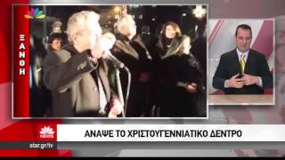 Xanthinews Sto Star Anama Dentroy Xanthis 12 12 2016