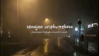 anak lanang #storywa #fypシ゚viral #storywa30detik