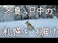 札幌に住むとある家族のブイログ