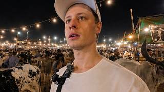 Visiting Pakistans Animal Market (Pure Chaos)