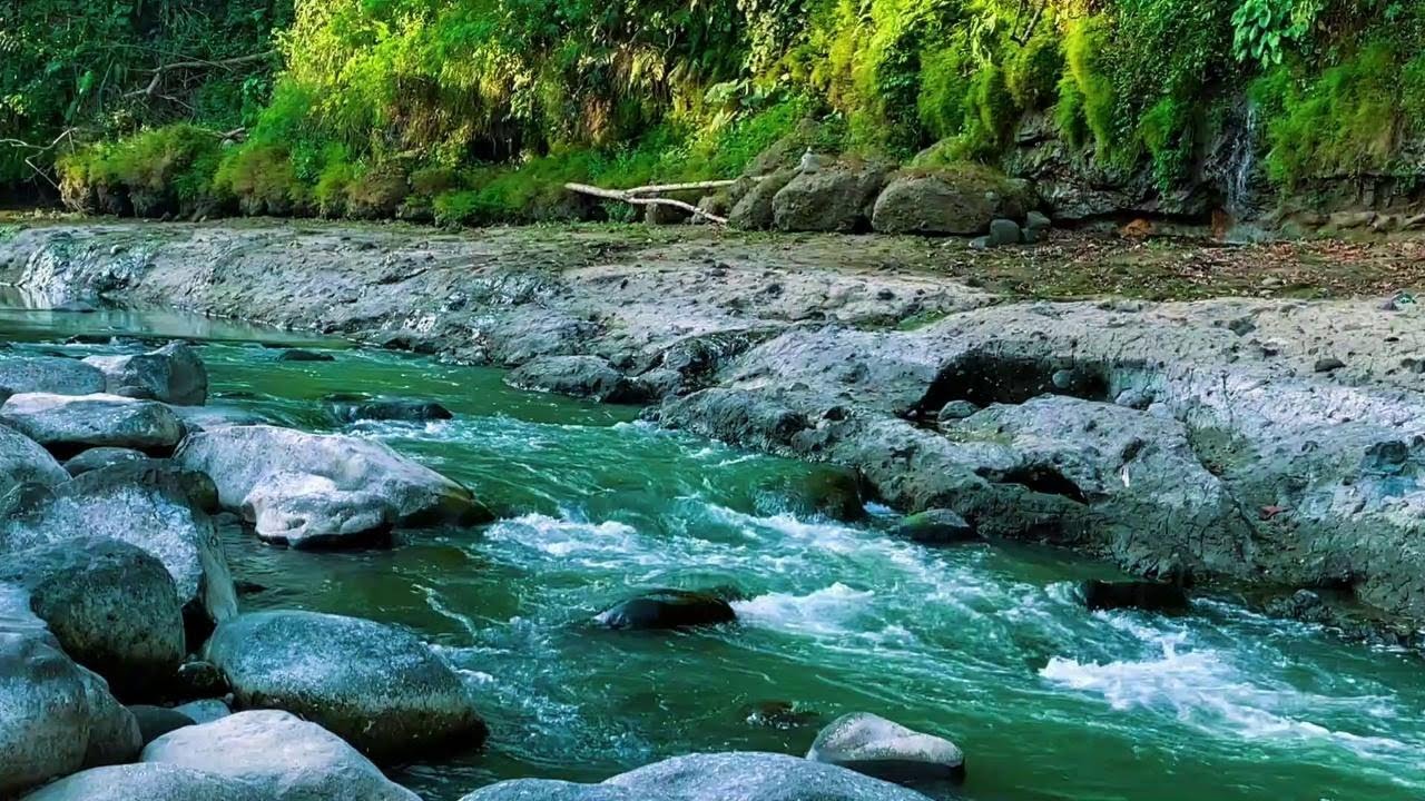 Relaxing River Sound for therapy helps you sleep soundly, relieves stress, good mood