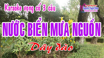 Karaoke vọng cổ NƯỚC BIỂN MƯA NGUỒN - DÂY ĐÀO [T/g Viễn Châu]