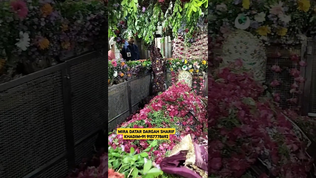 BLACK MAGIC REMOVE ANY PROBLEM SOLUTION