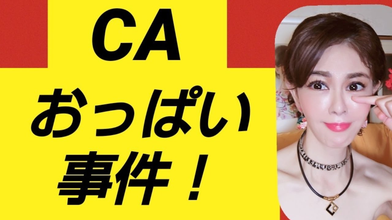 スチュワーデス おっぱい 