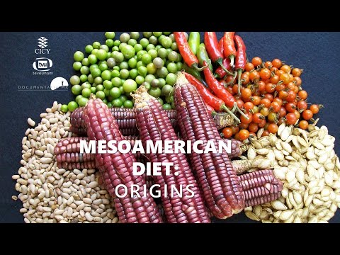 Mesoamerican diet: Origins