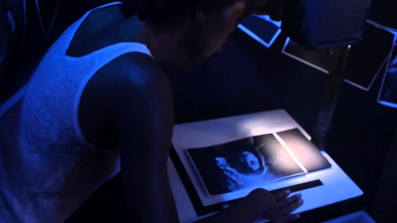 Solitude - Fawn, Digital Sixable